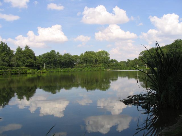 Cailleaux les deux étangs